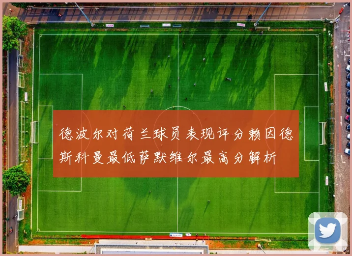德波尔对荷兰球员表现评分赖因德斯科曼最低萨默维尔最高分解析