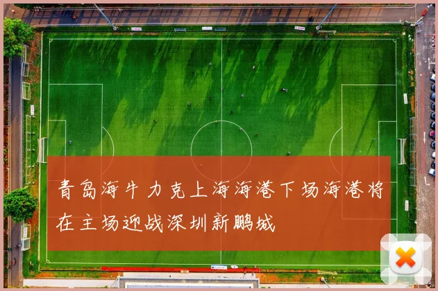 青岛海牛力克上海海港下场海港将在主场迎战深圳新鹏城