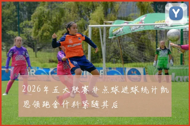 2026年五大联赛非点球进球统计凯恩领跑舍什科紧随其后