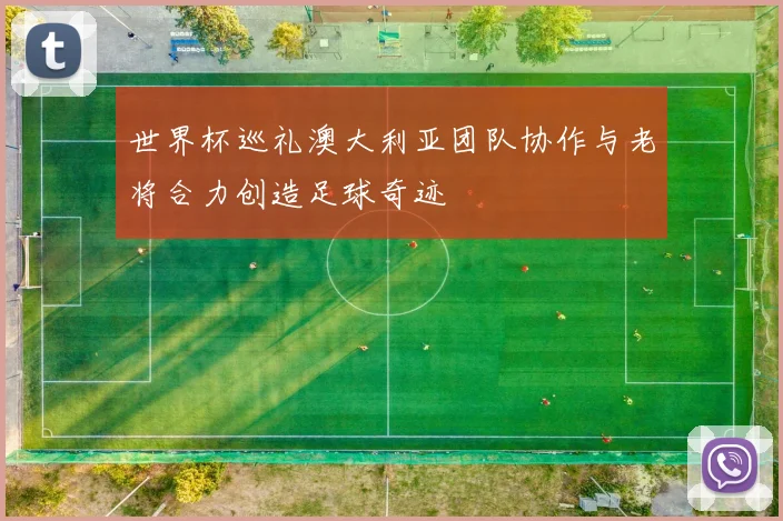 世界杯巡礼澳大利亚团队协作与老将合力创造足球奇迹